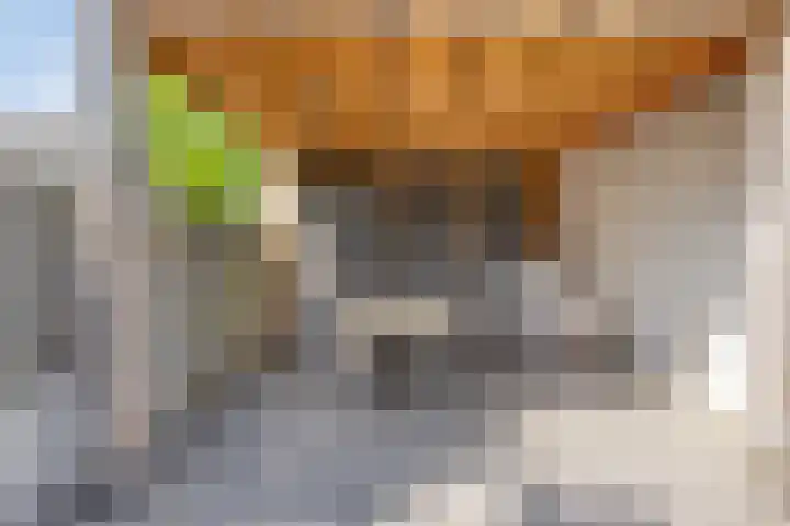 Rondeel 2 Uden thumbnail 31