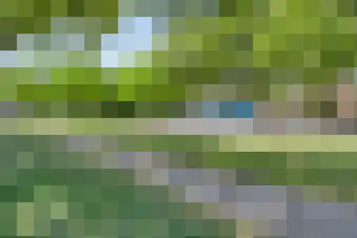 Rondeel 2 Uden thumbnail 35