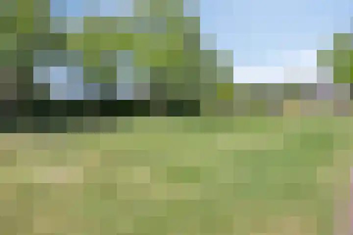 Rondeel 2 Uden thumbnail 38