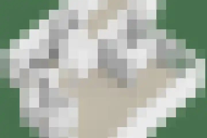 Rondeel 2 Uden thumbnail 43