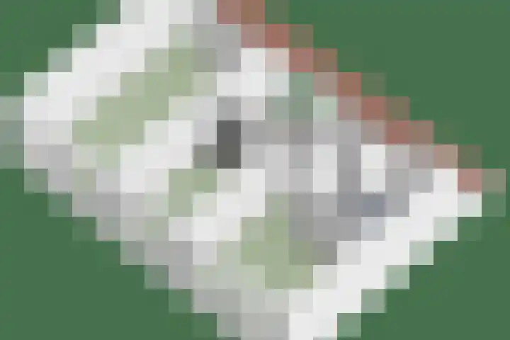 Rondeel 2 Uden thumbnail 44