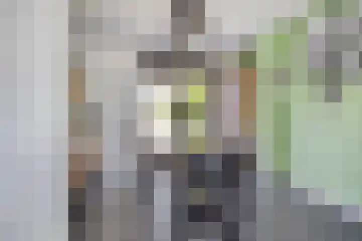 Rondeel 2 Uden thumbnail 5