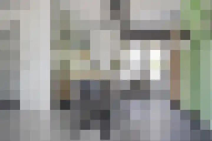 Rondeel 2 Uden thumbnail 6