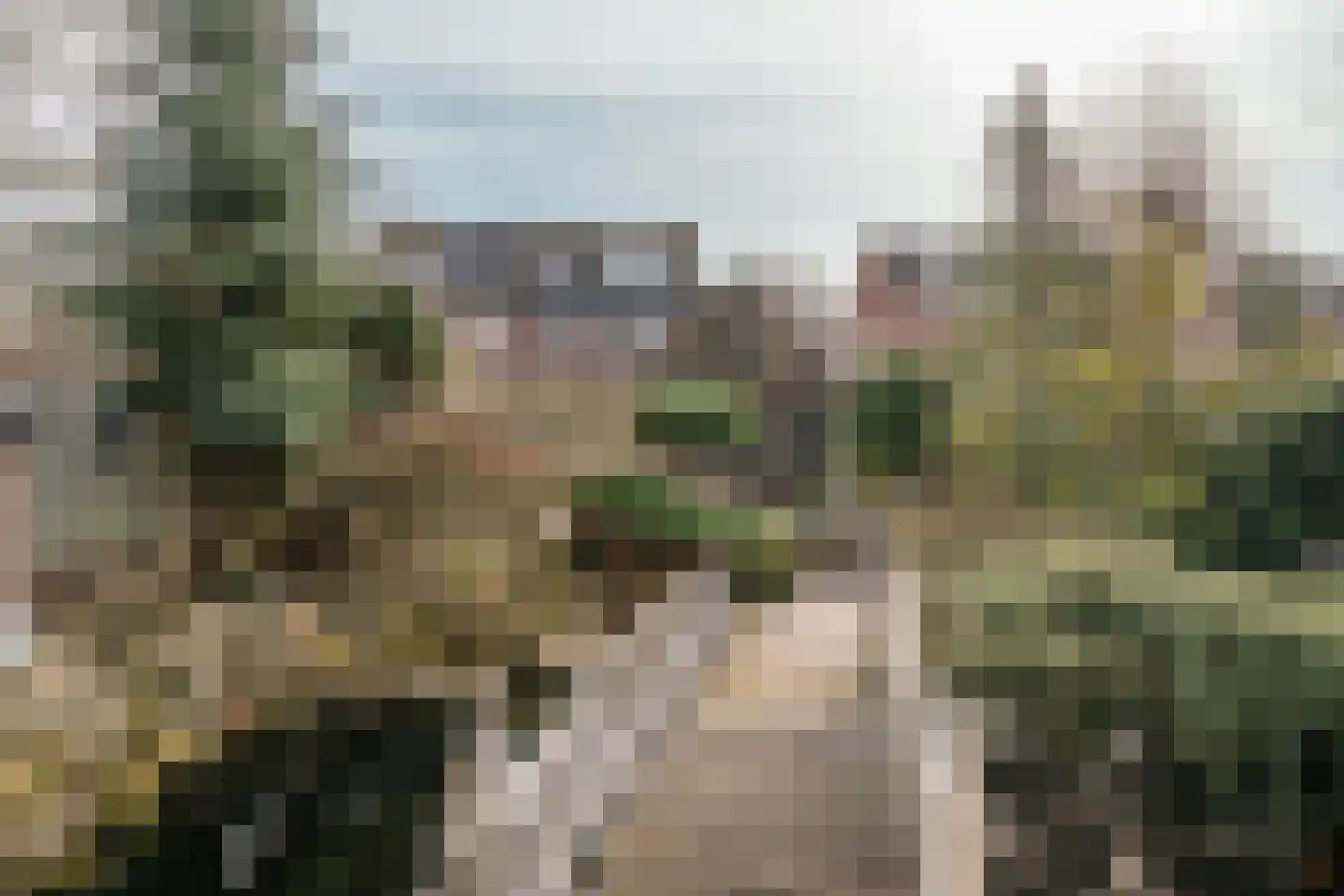Rondeel 21 Veldhoven thumbnail 26