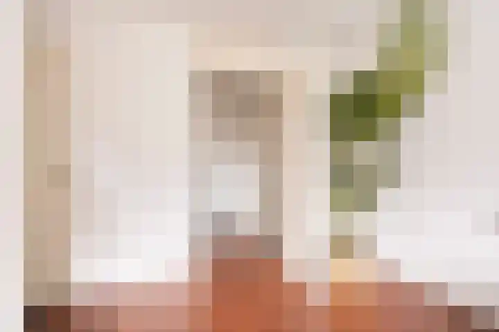 Rondeel 26 Amsterdam thumbnail 15