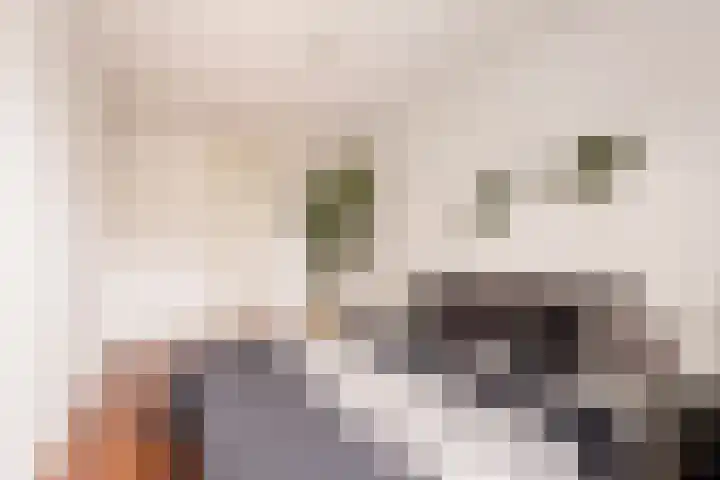 Rondeel 26 Amsterdam thumbnail 19