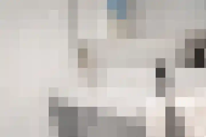 Rondeel 26 Amsterdam thumbnail 24