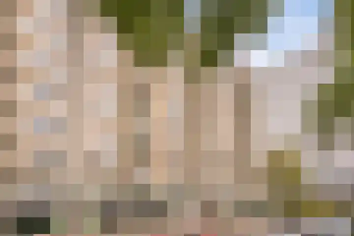 Rondeel 26 Amsterdam thumbnail 28