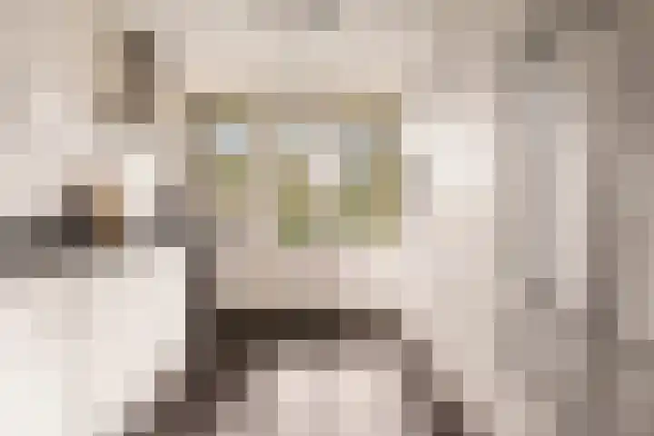 Rondeel 26 Amsterdam thumbnail 8