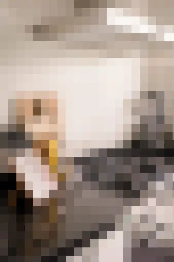 Rondeel 26 Amsterdam thumbnail 9