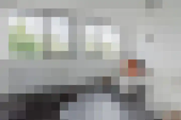 Rondeel 33 Wageningen thumbnail 35