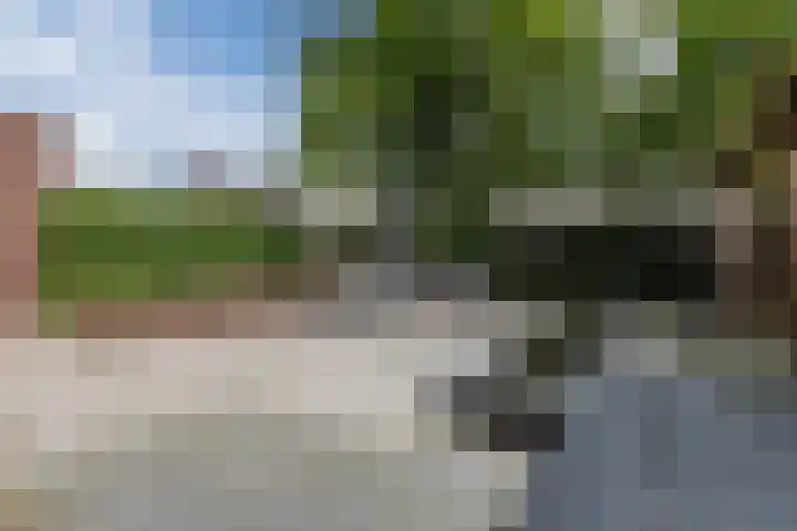 Rondeel 33 Wageningen thumbnail 48
