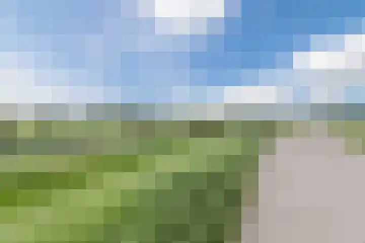 Rondeel 33 Wageningen thumbnail 53