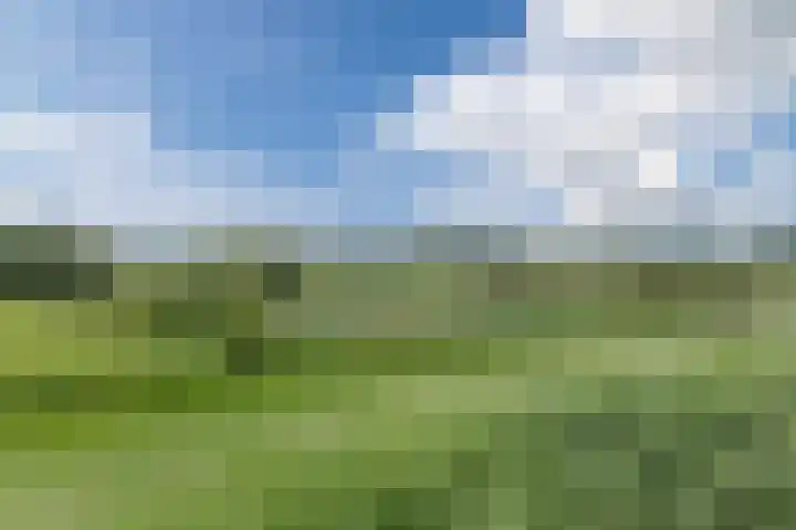 Rondeel 33 Wageningen thumbnail 54