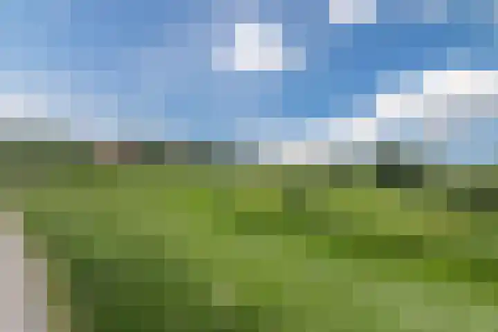 Rondeel 33 Wageningen thumbnail 55