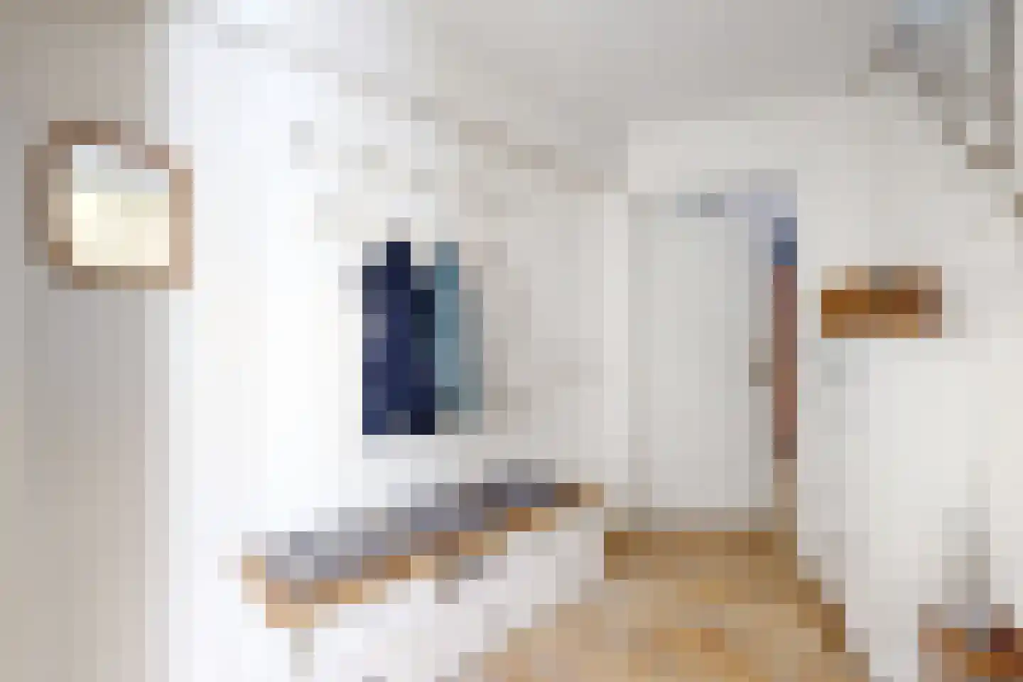 Rondeel 34 Klundert thumbnail 10