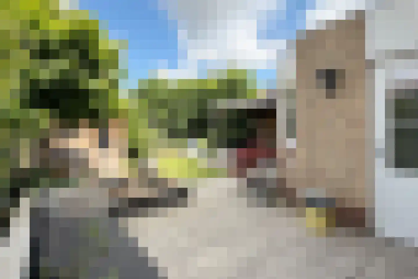 Rondeel 34 Klundert thumbnail 60