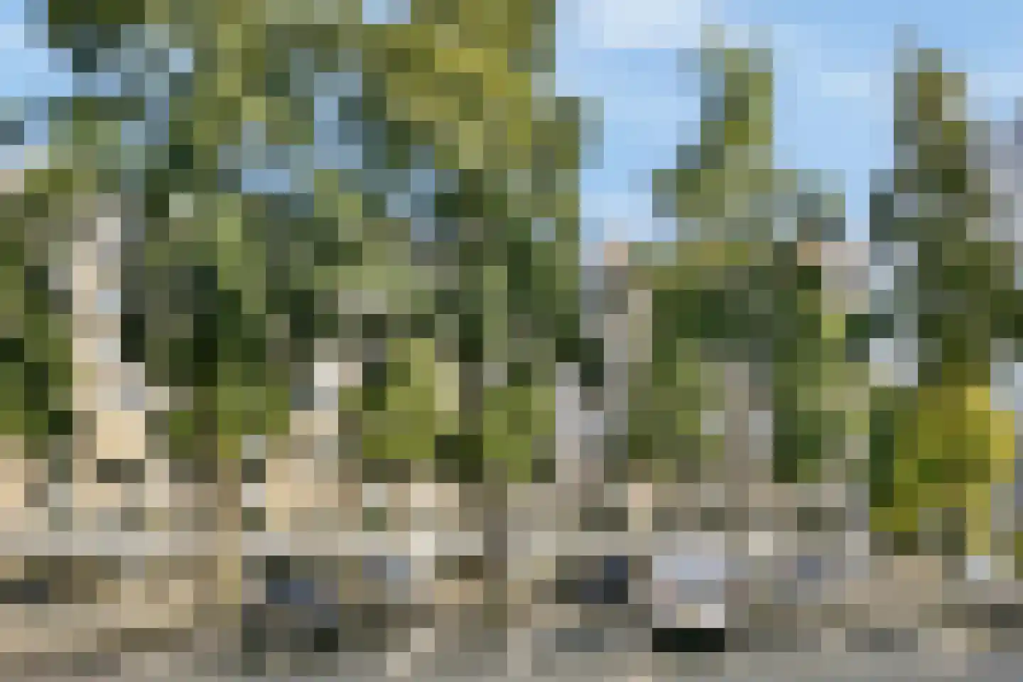 Rondeel 52 Amsterdam thumbnail 22