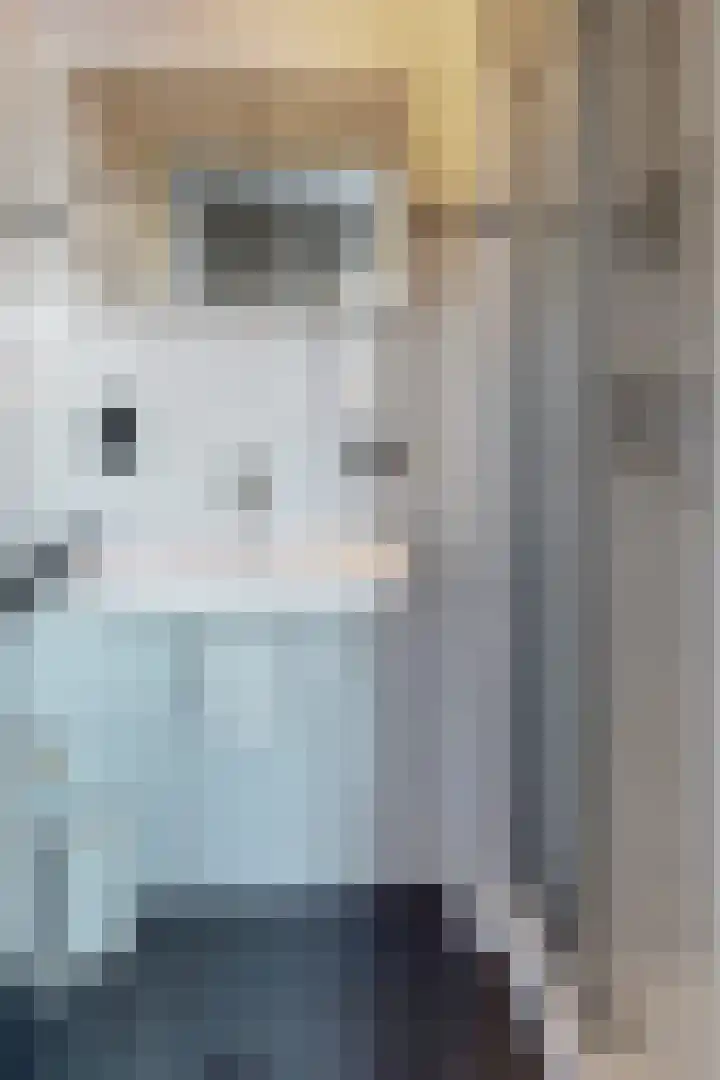 Rondeel 55 Klundert thumbnail 11