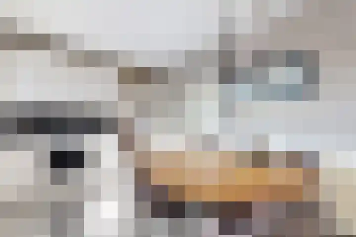 Rondeel 55 Klundert thumbnail 27