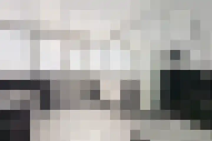 Rondeel 55 Klundert thumbnail 52