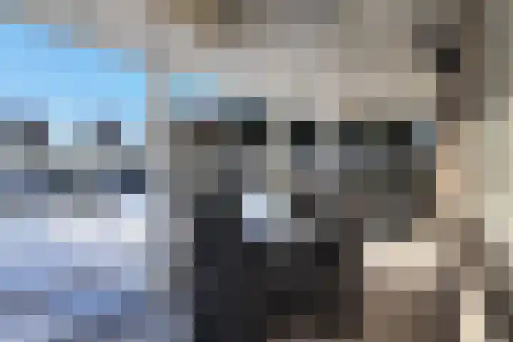 Rondeel 55 Klundert thumbnail 63