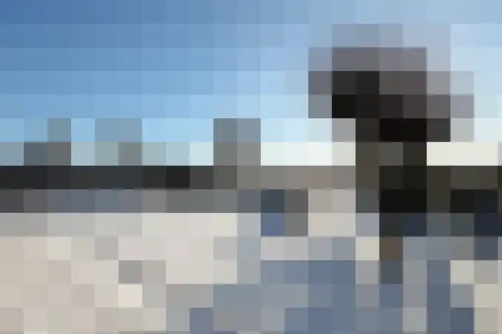 Rondeel 55 Klundert thumbnail 70