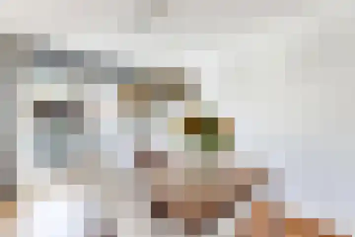 Rondeel 56 Klundert thumbnail 18