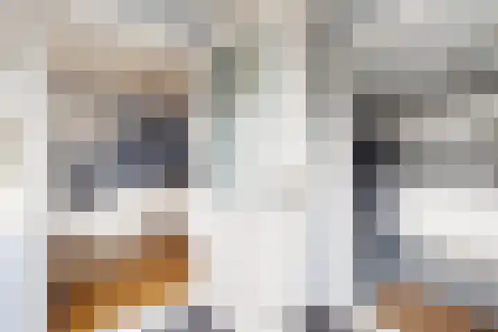 Rondeel 56 Klundert thumbnail 28