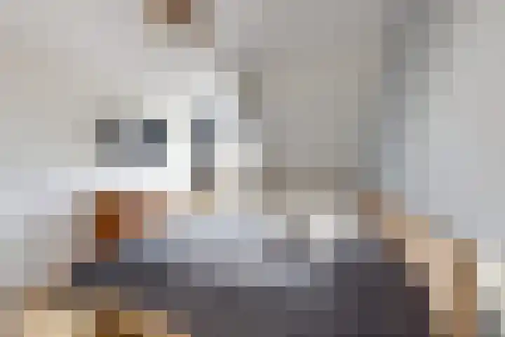 Rondeel 56 Klundert thumbnail 39