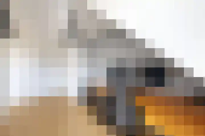 Rondeel 56 Klundert thumbnail 40