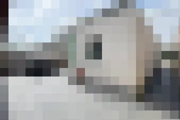 Rondeel 56 Klundert thumbnail 59