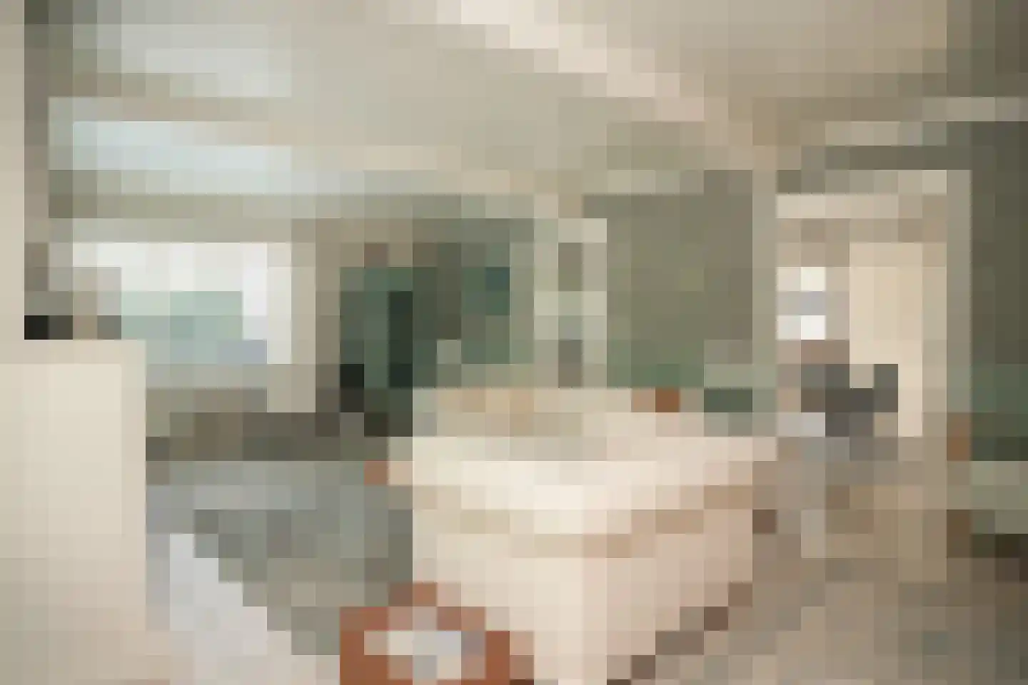 Rondeel 6 Zaltbommel thumbnail 15