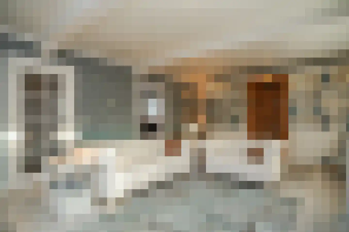 Rondeel 6 Zaltbommel thumbnail 17