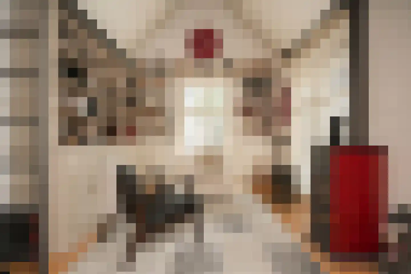 Rondeel 6 Zaltbommel thumbnail 22