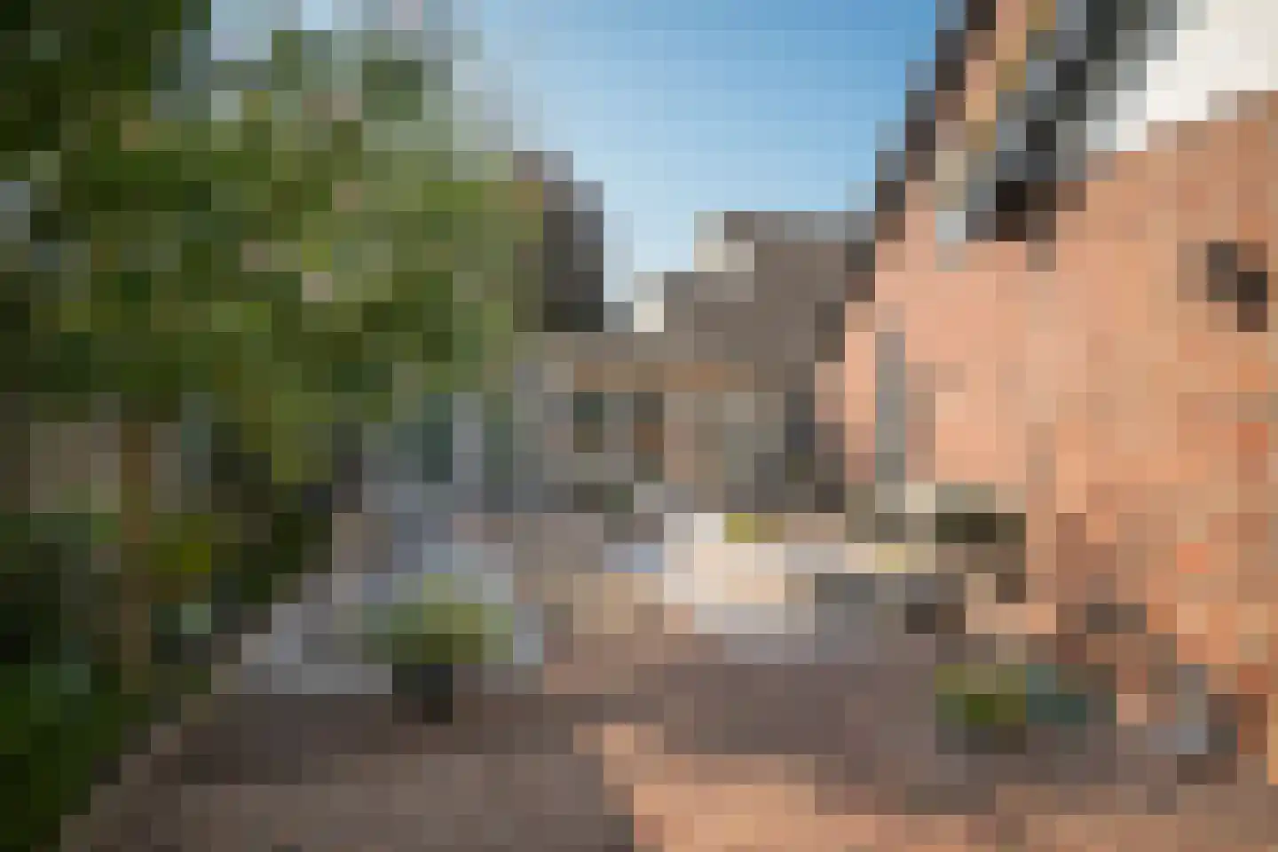 Rondeel 6 Zaltbommel thumbnail 42