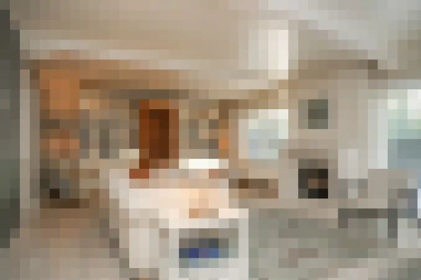 Rondeel 6 Zaltbommel thumbnail 5