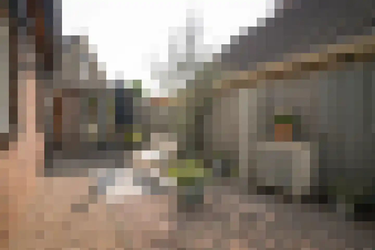 Rondeel 6 Zaltbommel thumbnail 52