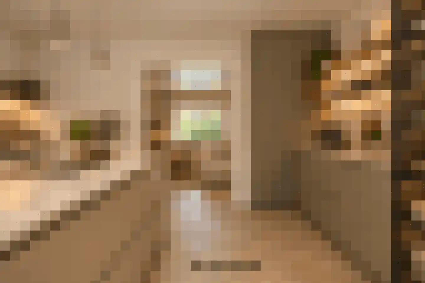 Rondeel 6 Zaltbommel thumbnail 9