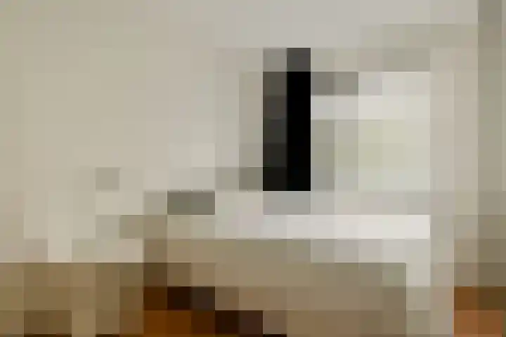 Rondeel 94 Amsterdam thumbnail 24