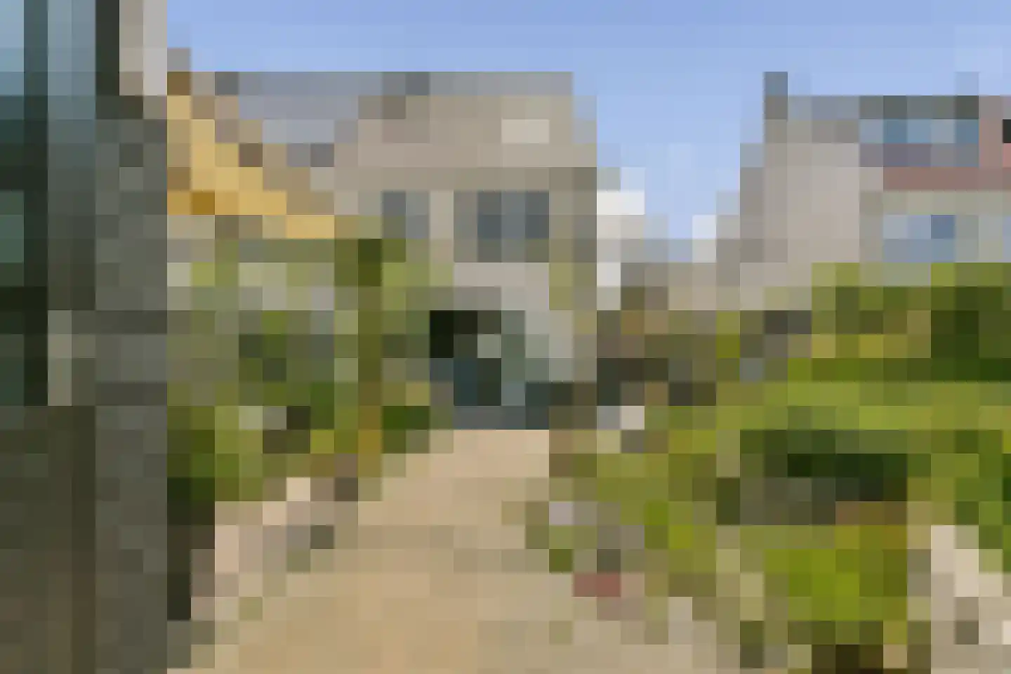 Rondeelhof 10 Hoef en Haag thumbnail 13