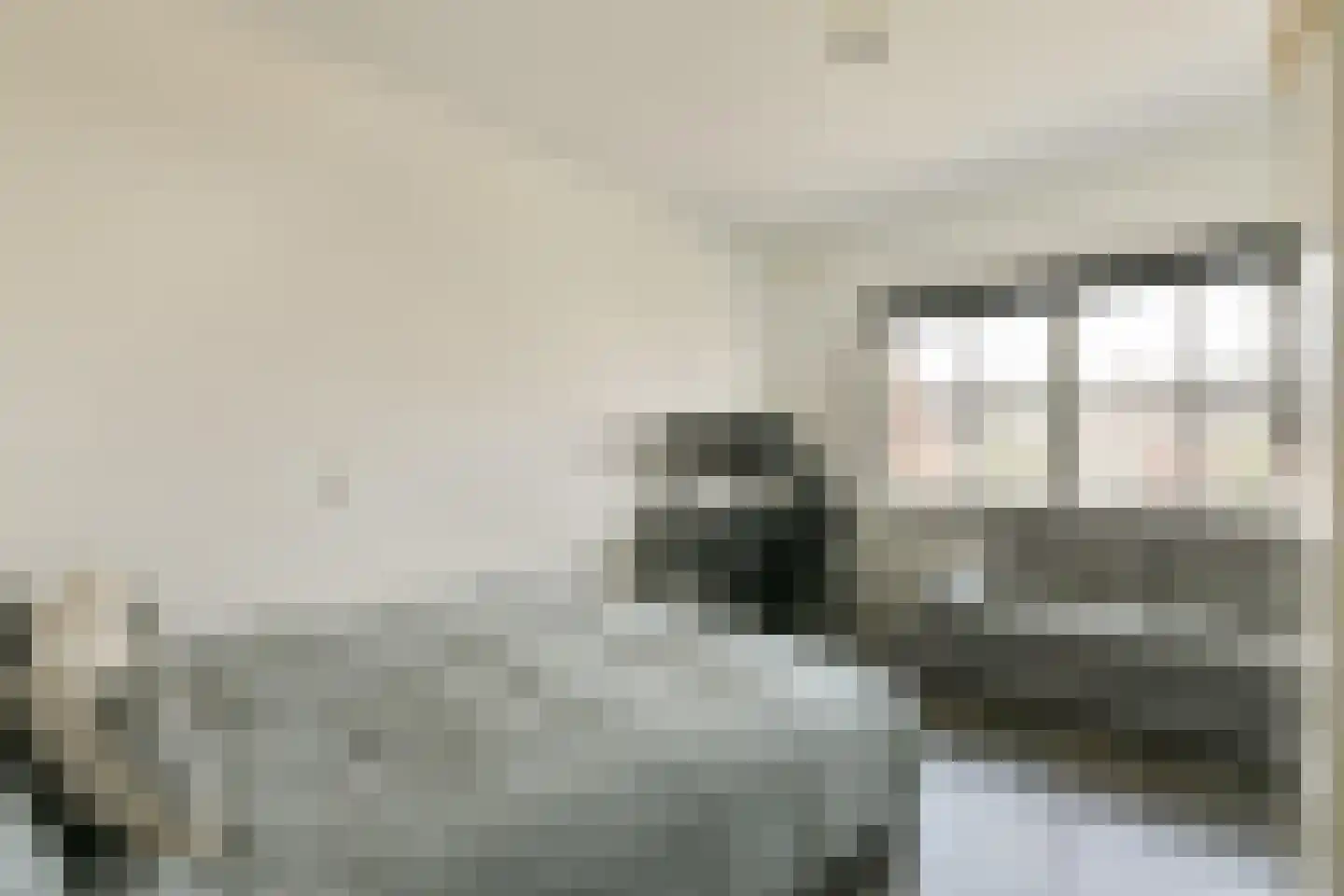 Rondeelhof 10 Hoef en Haag thumbnail 19