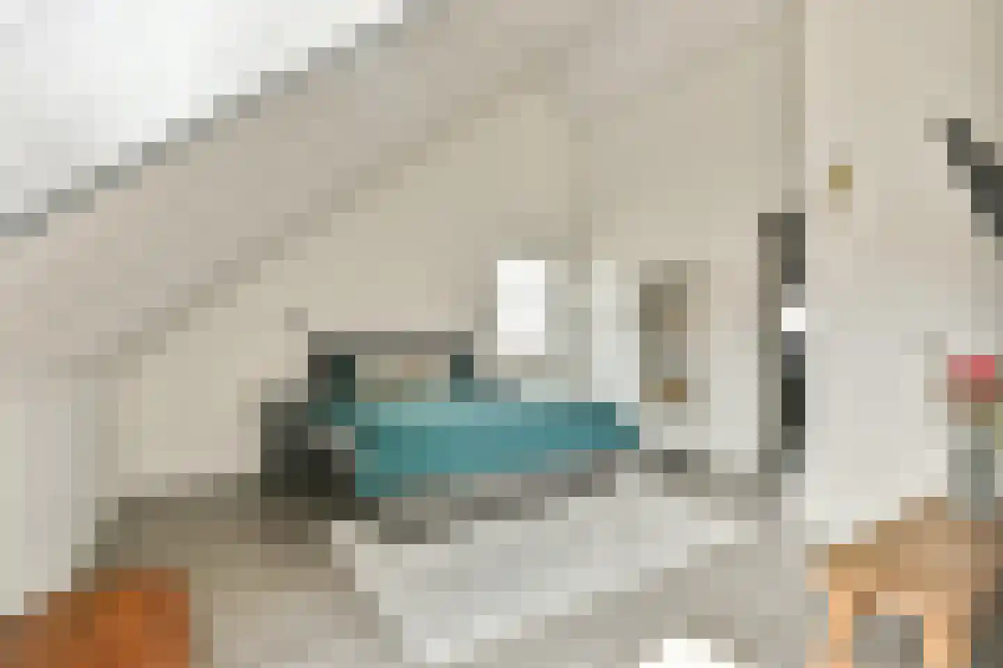 Rondeelhof 10 Hoef en Haag thumbnail 24
