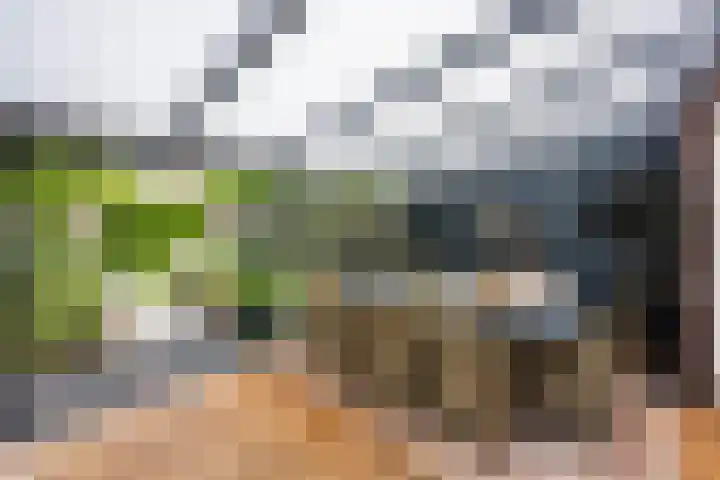 Rondeelstraat 24 Zwolle thumbnail 26