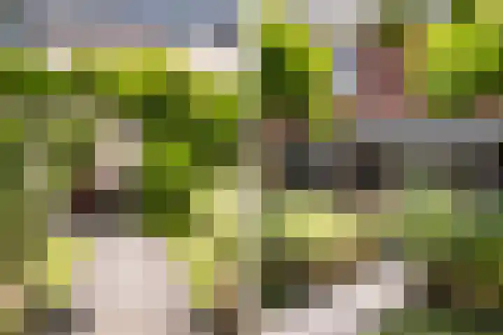 Rondeelstraat 24 Zwolle thumbnail 30