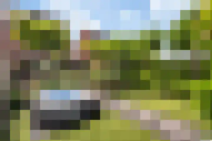 Rondeelstraat 24 Zwolle thumbnail 31