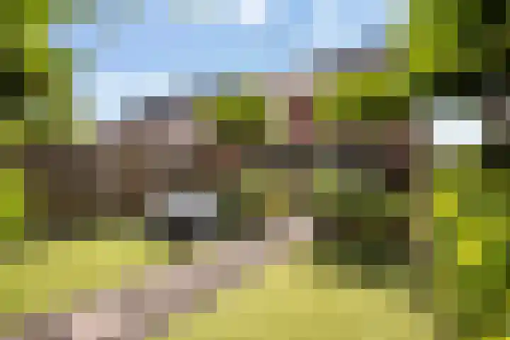 Rondeelstraat 24 Zwolle thumbnail 32
