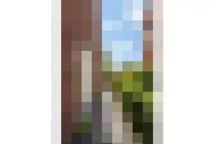 Rondeelstraat 24 Zwolle thumbnail 33