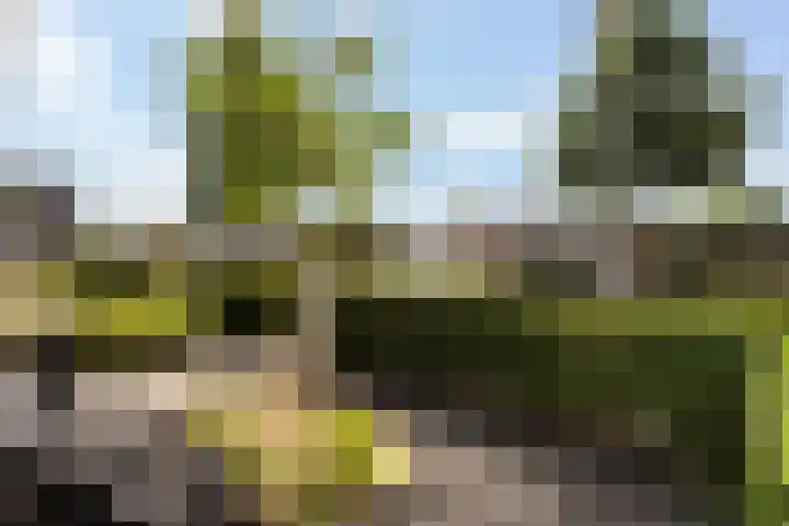 Rondeelstraat 24 Zwolle thumbnail 35