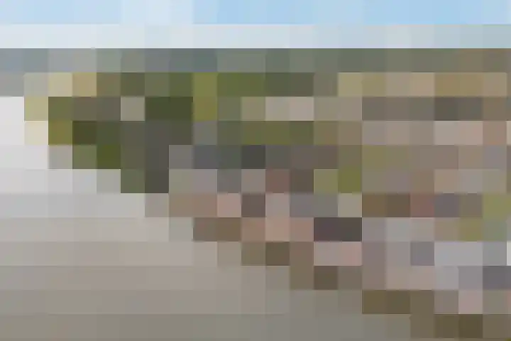 Rondeelstraat 24 Zwolle thumbnail 36